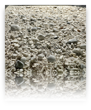 collage image title