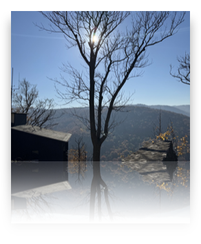 collage image title