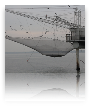 collage image title