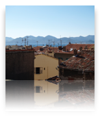 collage image title