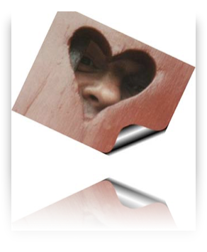 collage image title