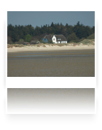 collage image title