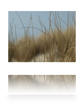 collage image title