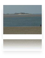 collage image title