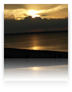 collage image title