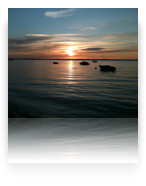 collage image title