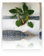 collage image title