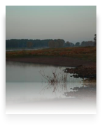 collage image title