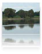 collage image title
