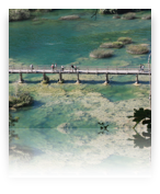 collage image title