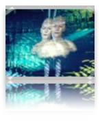 collage image title