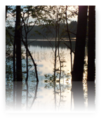 collage image title