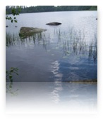 collage image title
