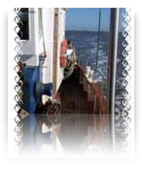 collage image title