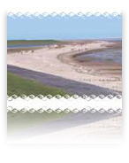 collage image title
