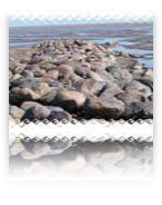 collage image title