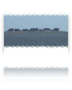 collage image title