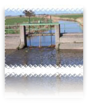 collage image title