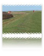 collage image title
