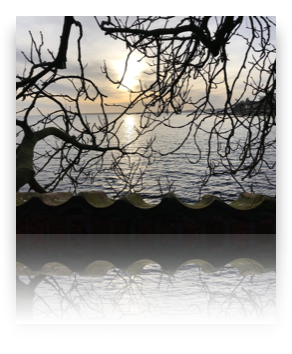 collage image title
